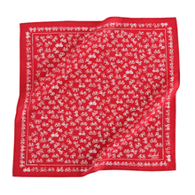 Load image into Gallery viewer, Bandana | No. 053 Red Bikes