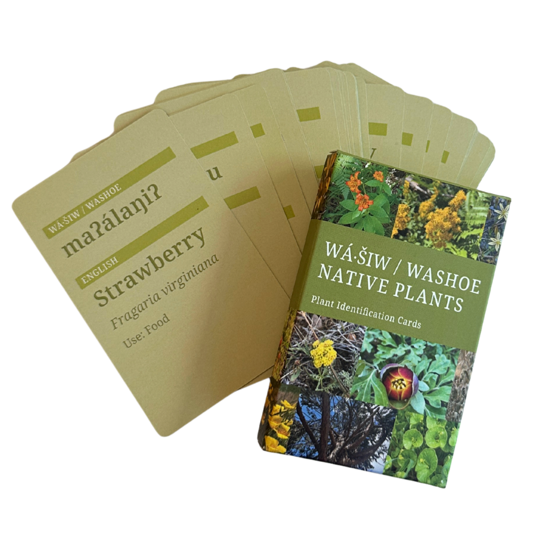 Wá·šiw / Washoe Native Plants – Plant Identification Cards – Nevada Museum  of Art