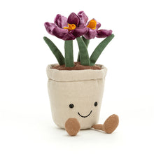 Load image into Gallery viewer, Amuseable Crocus
