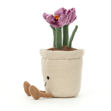 Load image into Gallery viewer, Amuseable Crocus

