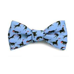 Disc Dog Bow Tie